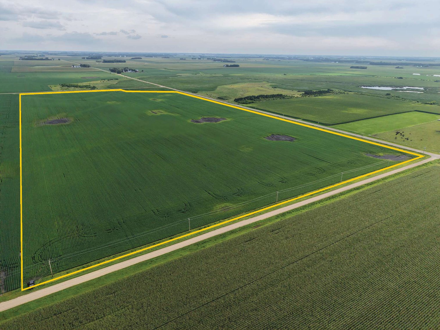 Image for Closed - Blue Earth Co., MN - 73.80 Ac., m/l (190-0293-01)