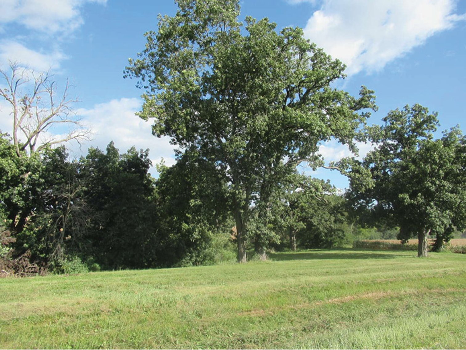 Image for Closed - Johnson Co., IA - 60.00 Ac., ml (010-3124-01)