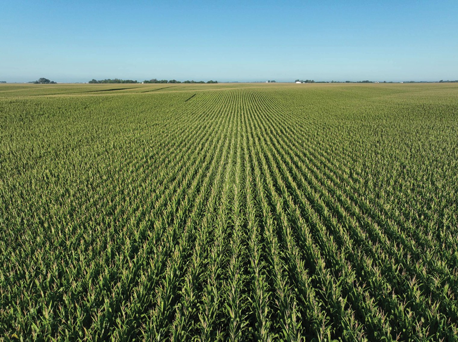 Image for Closed - Keokuk Co., IA - 78.94 Ac., ml/ (180-0221-02)