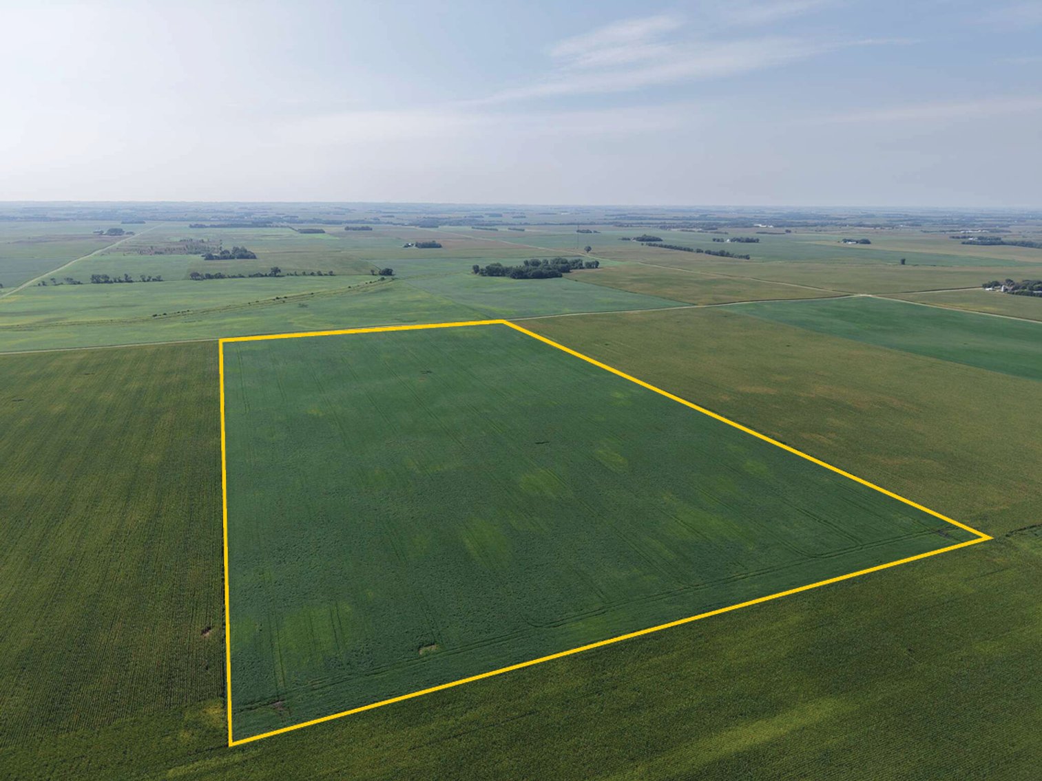 Image for Closed - Redwood Co., MN - 80.15 Ac., m/l (190-0291-01)