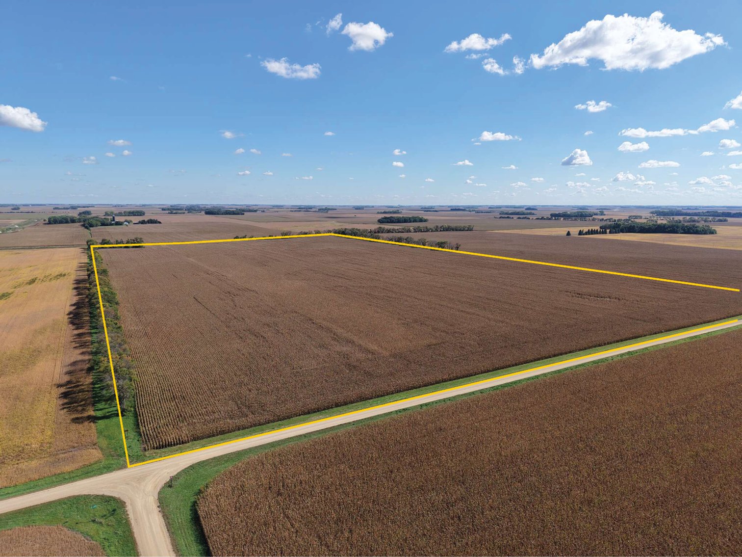 Image for Closed - Redwood Co., MN - 77.02 Ac., ml/ (190-0302-01)