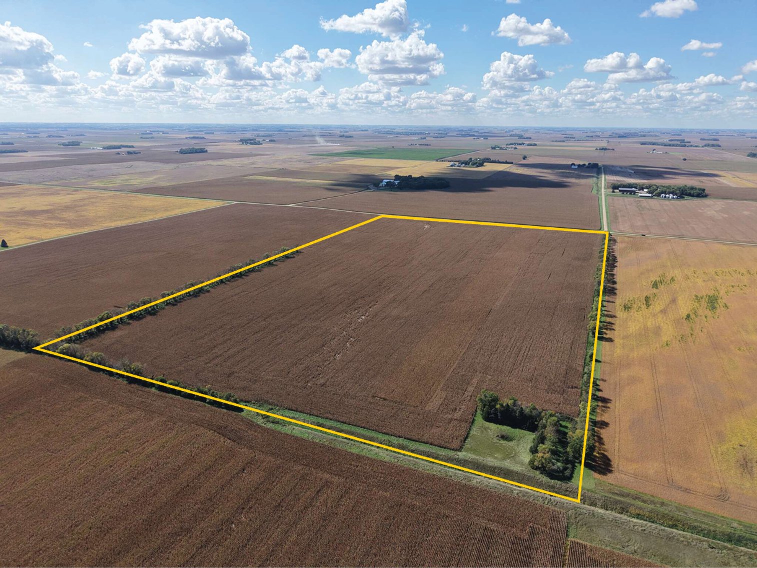 Image for Closed - Redwood Co., MN - 77.02 Ac., ml/ (190-0302-01)