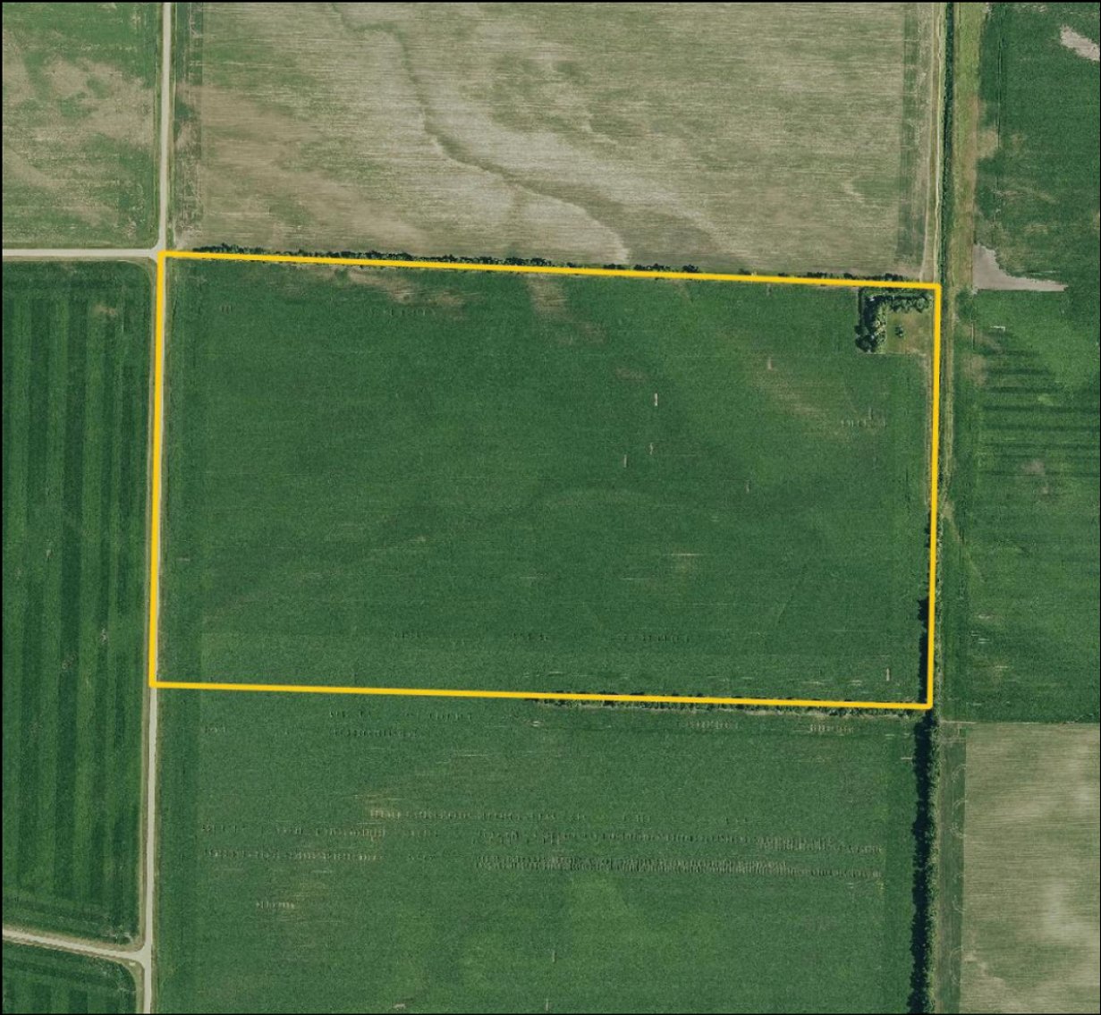 Image for Closed - Redwood Co., MN - 77.02 Ac., ml/ (190-0302-01)
