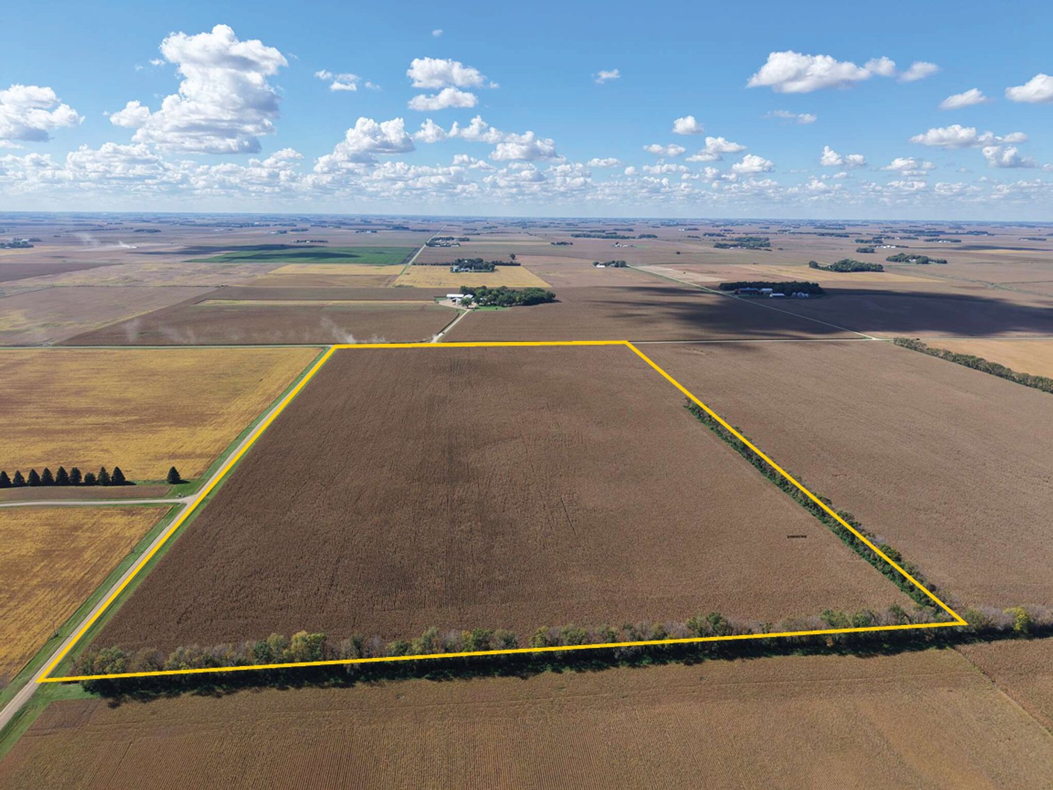 Image for Closed - Redwood Co., MN - 77.01 Ac., m/l (190-0302-02)