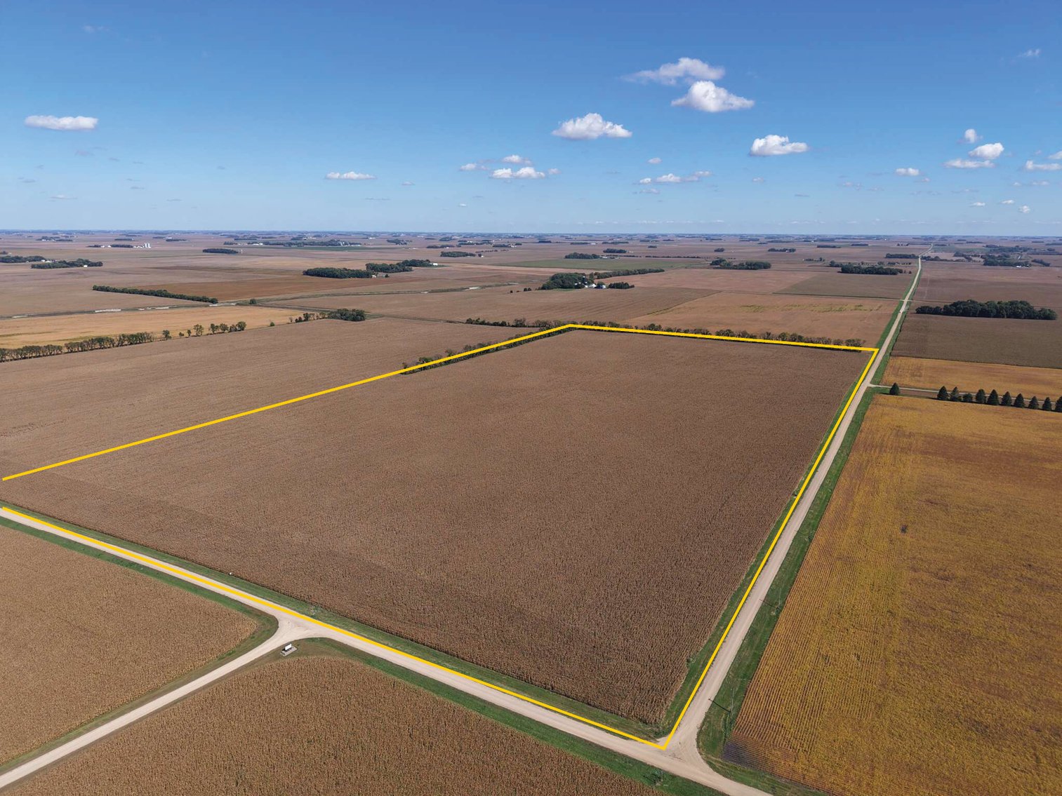 Image for Closed - Redwood Co., MN - 77.01 Ac., m/l (190-0302-02)