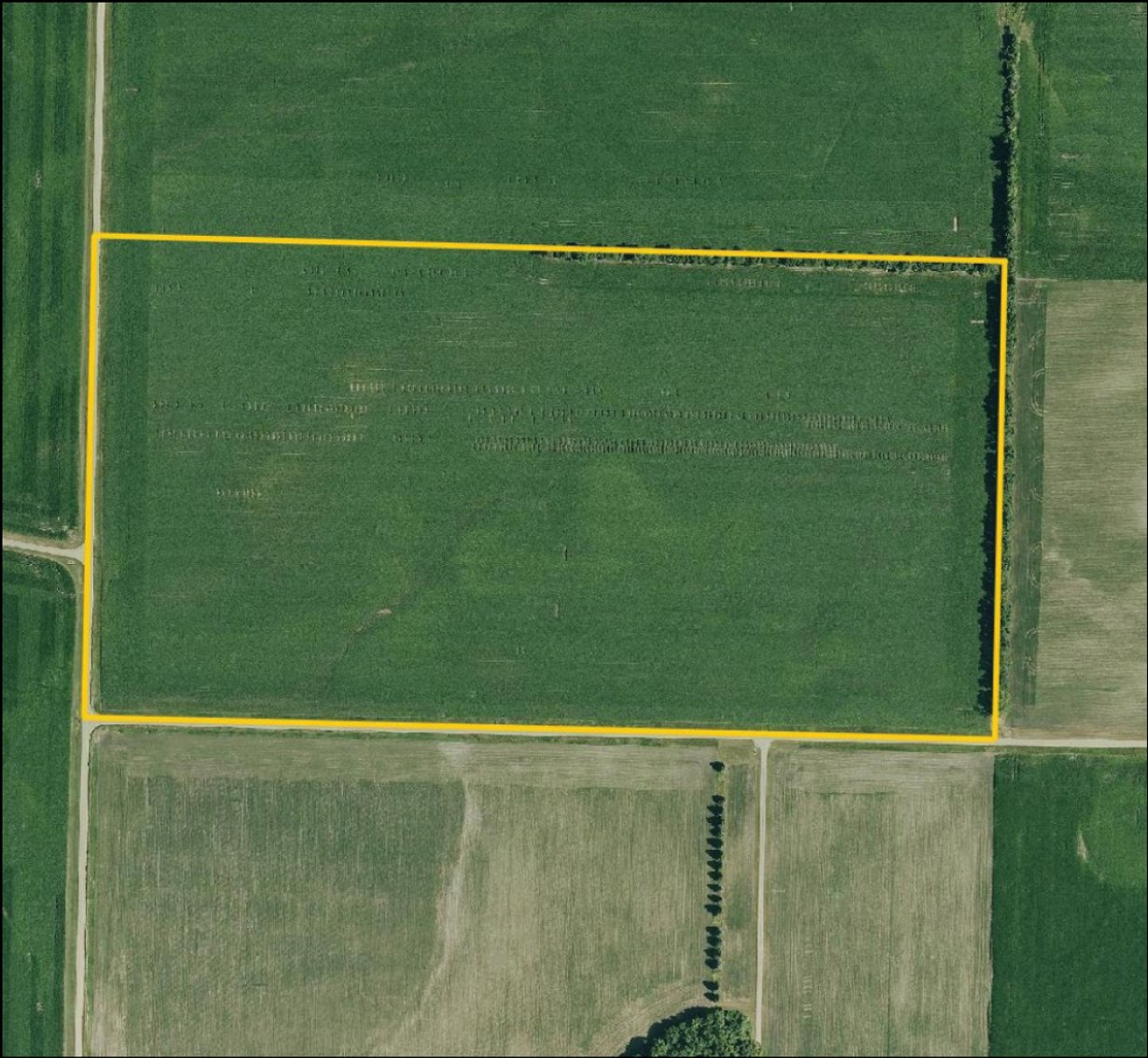 Image for Closed - Redwood Co., MN - 77.01 Ac., m/l (190-0302-02)