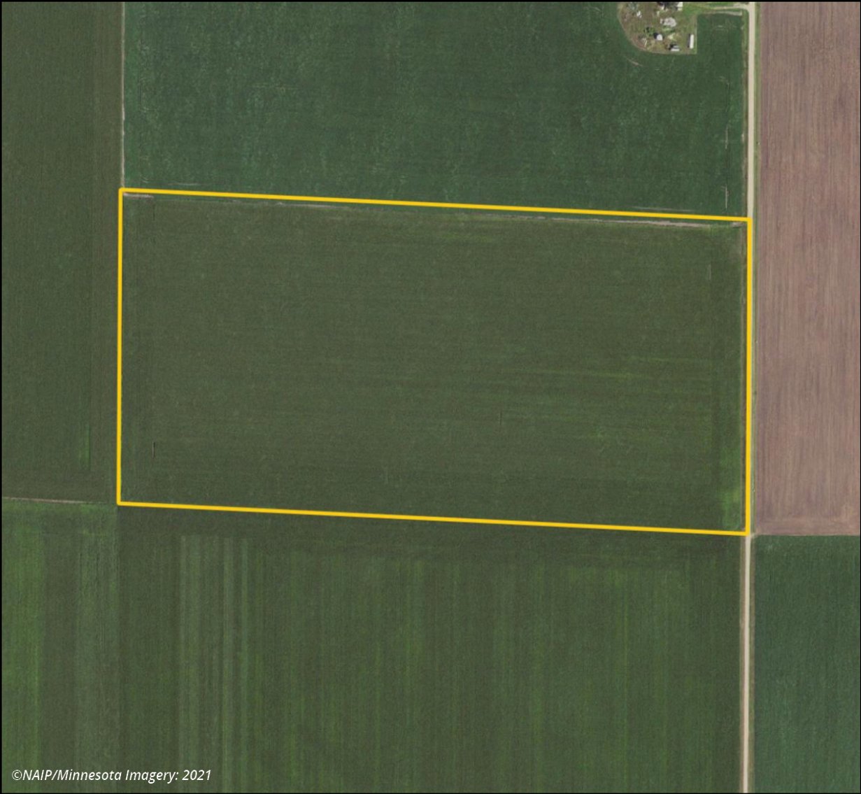Image for Closed - Faribault Co., MN - 80.00 Ac., m/l (190-0310-01)