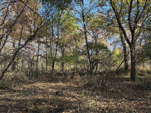 Image for Closed - Winneshiek Co., IA - 20.00 Ac., m/l (020-0583-01)