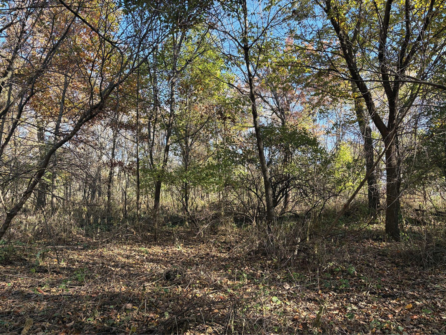 Image for Closed - Winneshiek Co., IA - 20.00 Ac., m/l (020-0583-01)