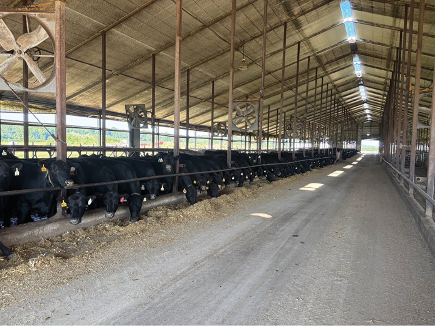 Image for Linn Co., IA - 41.00 Ac., m/l (010-3054-02)