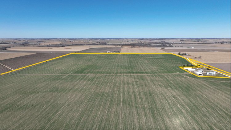 Image for Sale Pending - Clinton Co., IA - 229.60 Ac., m/l (010-3181-01)