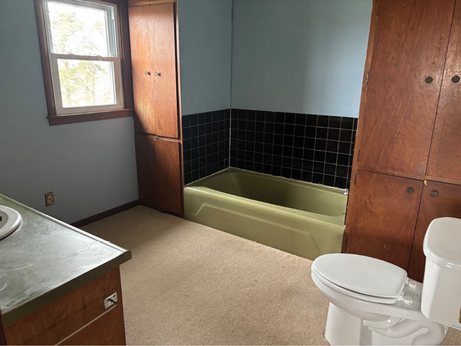 Image for Linn Co., IA - 54.99 Ac., m/l (010-3235-01)