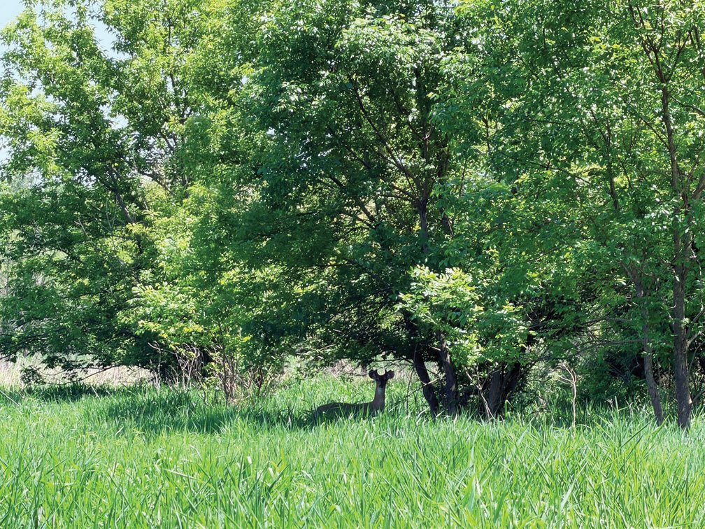 Image for Jefferson Co., IA - 83.68 Ac., m/l (180-0238-01)