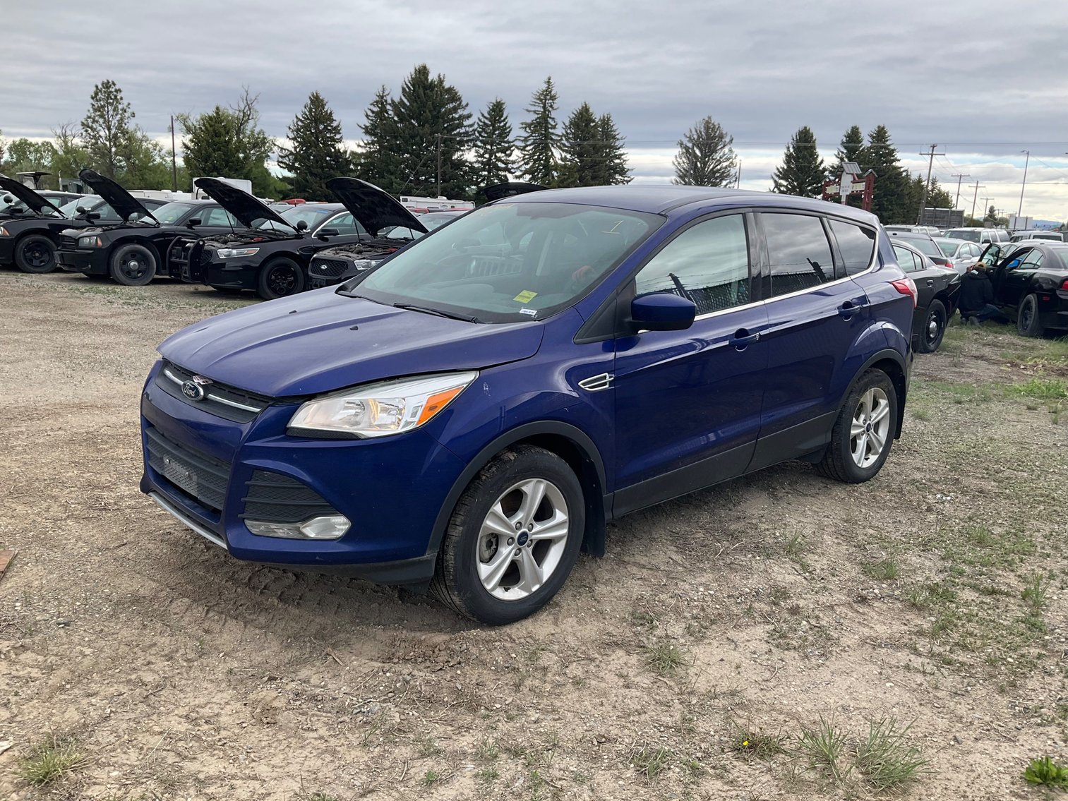 Image for 2024 State of Montana Surplus Property Auction