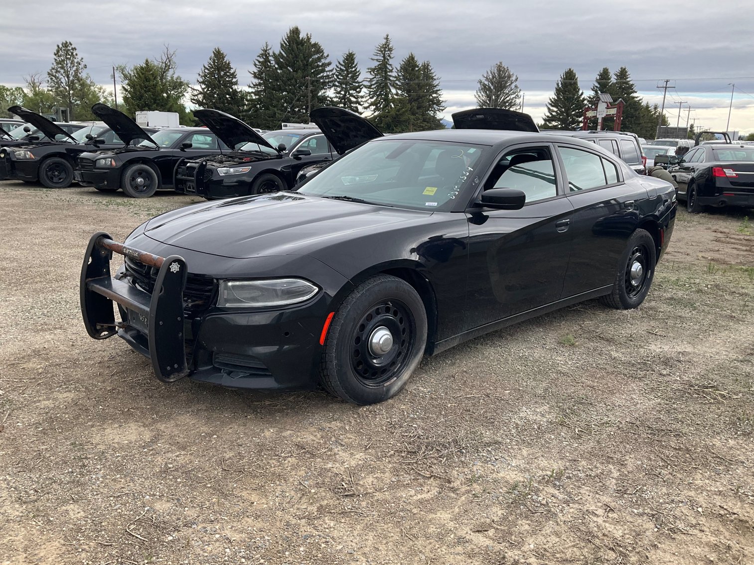 Image for 2024 State of Montana Surplus Property Auction