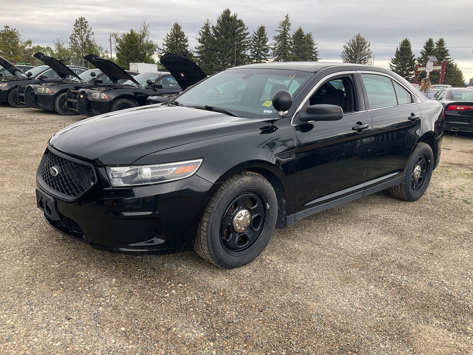 Image for 2024 State of Montana Surplus Property Auction