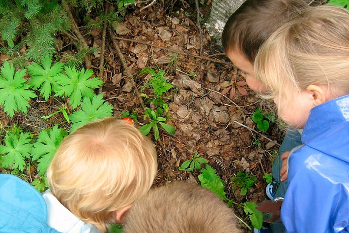 Image for Eagle River Nature Center's September Nights 2024