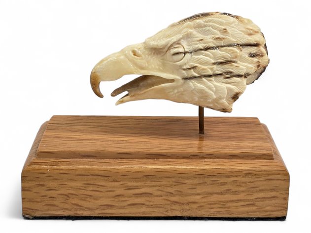 Fossilized Ivory Eagle Head