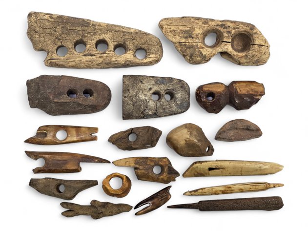 18x Fossilized Walrus Ivory, Bone, Wood & More Artifacts