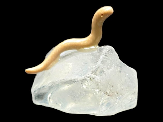 Ivory Ice Worm w/ Glass Base