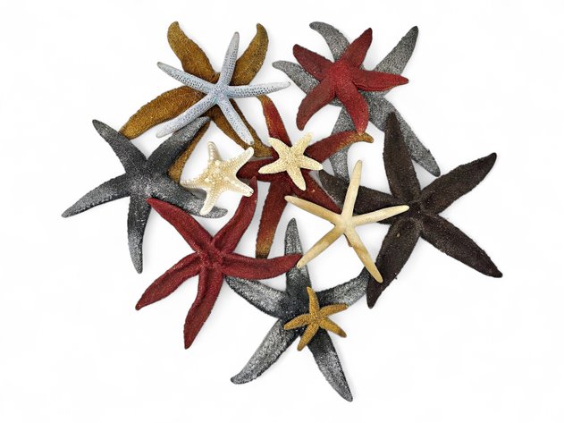 13x Red, Yellow & Gray Starfish