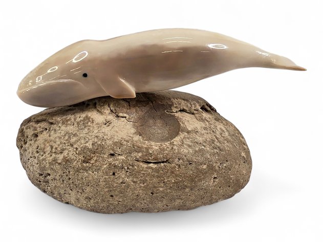 Fossilized Walrus Ivory Carving w/ Whale Eardrum Base