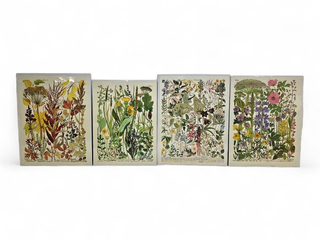 Richard Wilson Tyler Alaska Botanical Prints