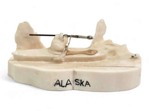 David M. Evan Walrus Ivory Diorama