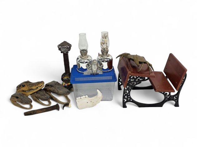 Taxidermy & Animal Specimens, Doll Furniture, Faunarium & More