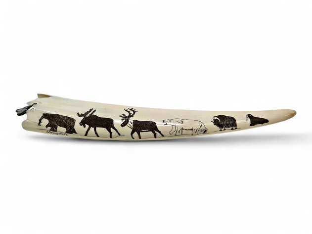 Scrimshaw Walrus Tusk w/ Arctic Wildlife - Thomas Ahtuangaruak