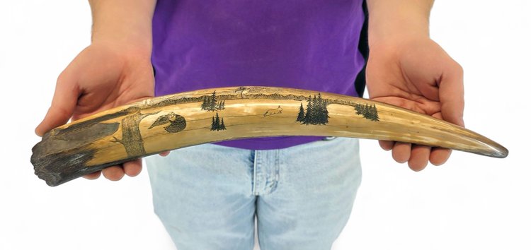 Fossilized Walrus Tusk Scrimshaw Landscape with Owls & Hare