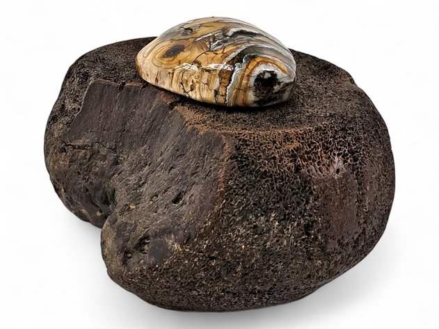 Mammoth Tooth & Fossilized Bone Bowl - Chuck Leake