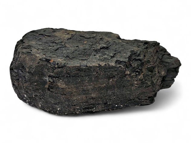 Alaskan Coal Specimen