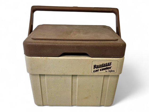 Igloo Roaster Car Cooler