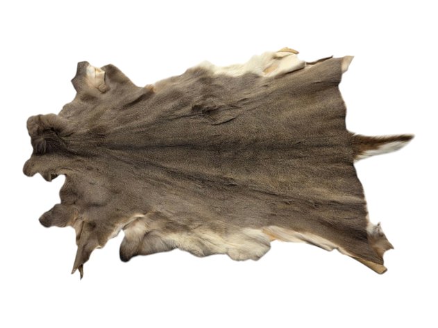 Deer Pelt