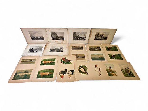 Seth Eastman Native American & Charles Robert Knight & More Alaska-Themed Prints