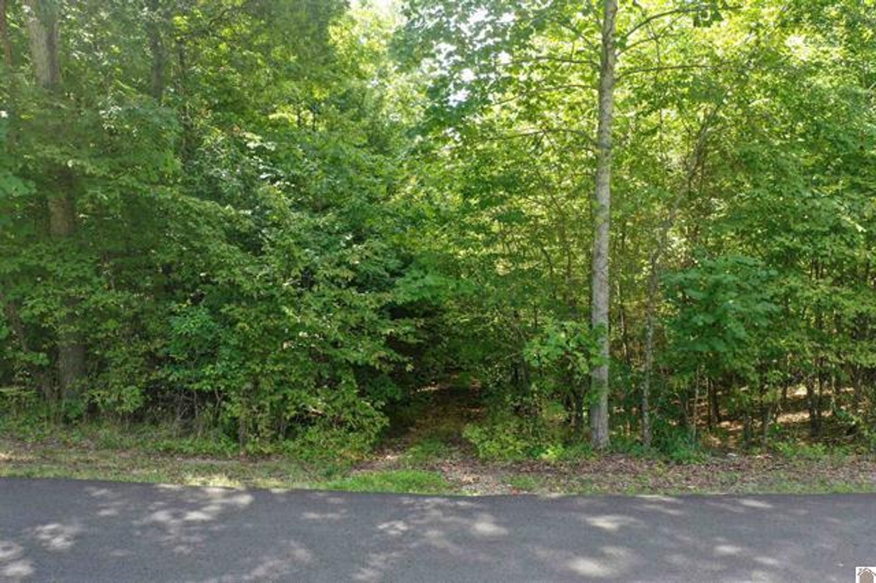 Image for Lot 18 and 19 Center Ridge Road Eddyville, KY 42038