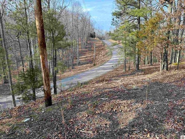 Image for Lot 31 and 32 Parkview Rd. Cadiz, KY 42211