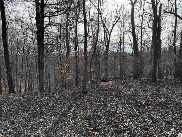 Image for Lot 31 and 32 Parkview Rd. Cadiz, KY 42211