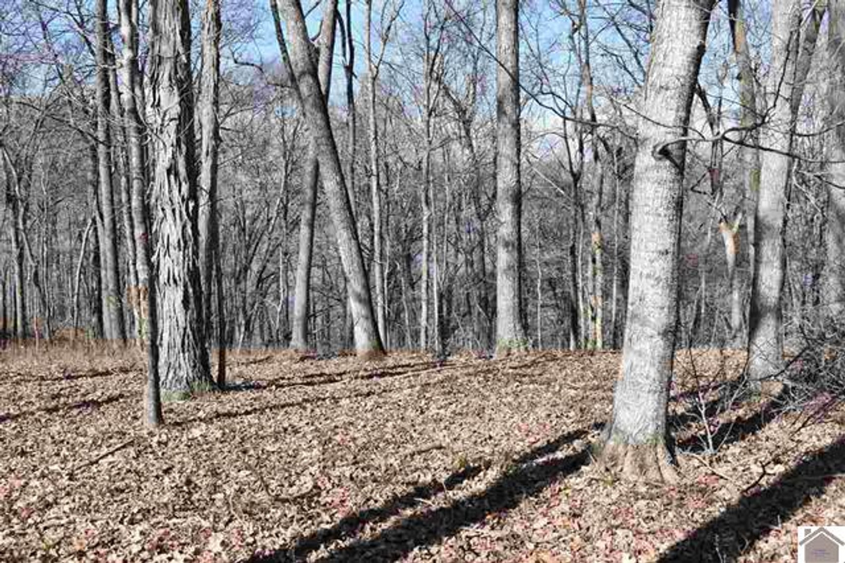 Image for Lot 53 Eleanor Way Cadiz, KY 42211