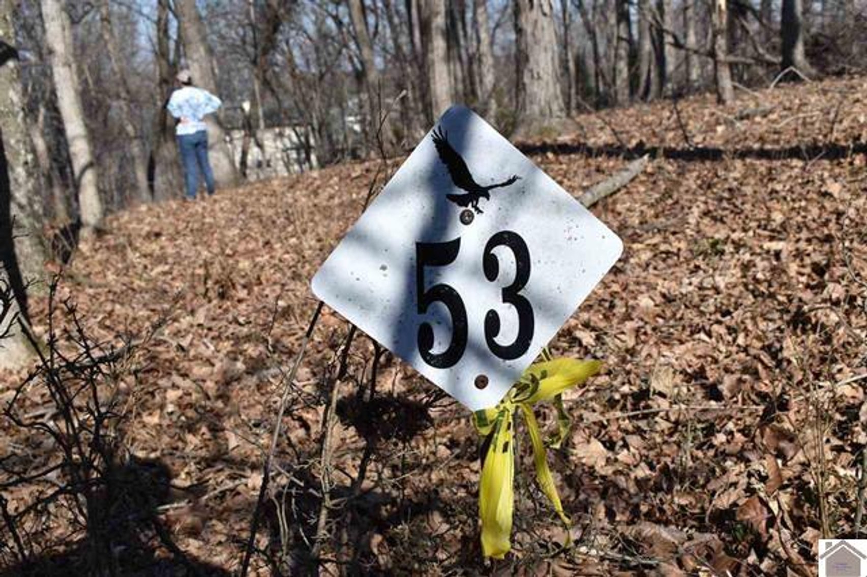 Image for Lot 53 Eleanor Way Cadiz, KY 42211