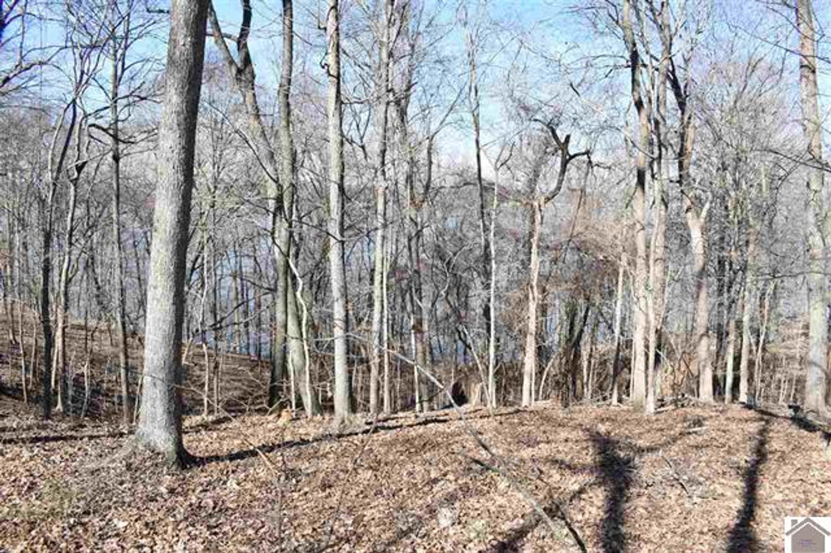 Image for Lot 53 Eleanor Way Cadiz, KY 42211