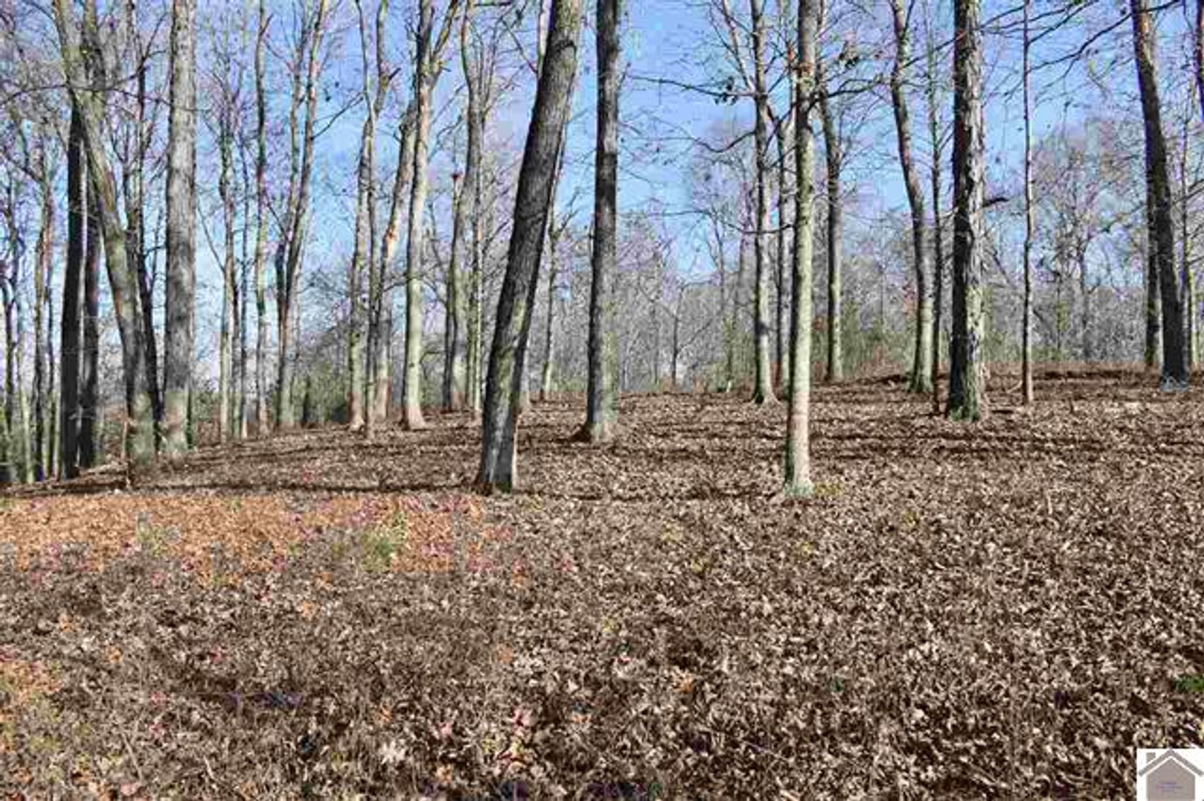 Image for Lot 53 Eleanor Way Cadiz, KY 42211