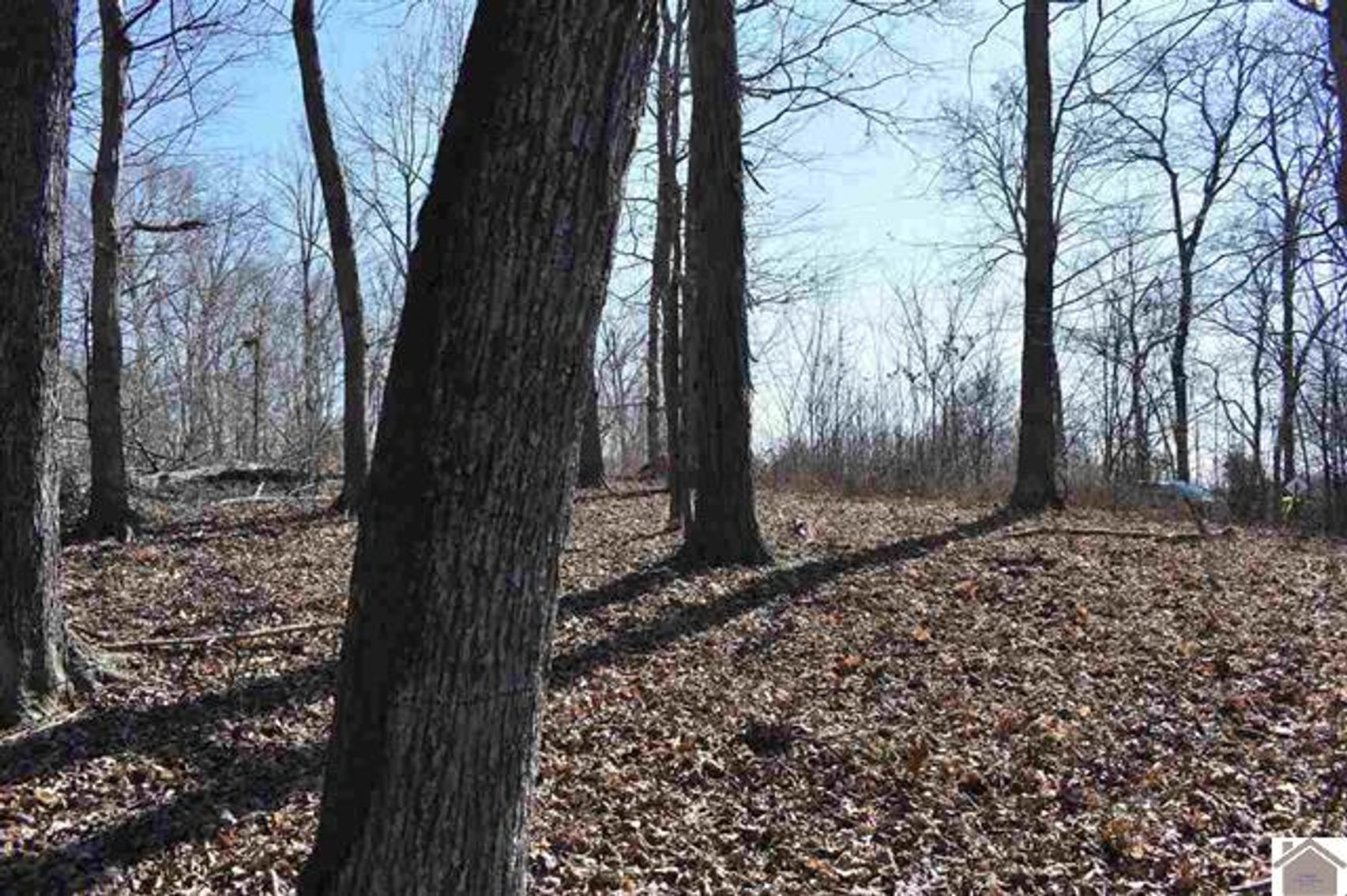 Image for Lot 53 Eleanor Way Cadiz, KY 42211