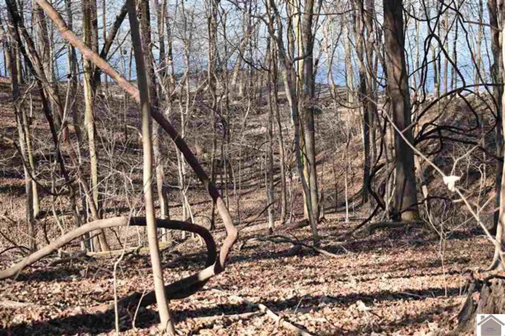 Image for Lot 53 Eleanor Way Cadiz, KY 42211
