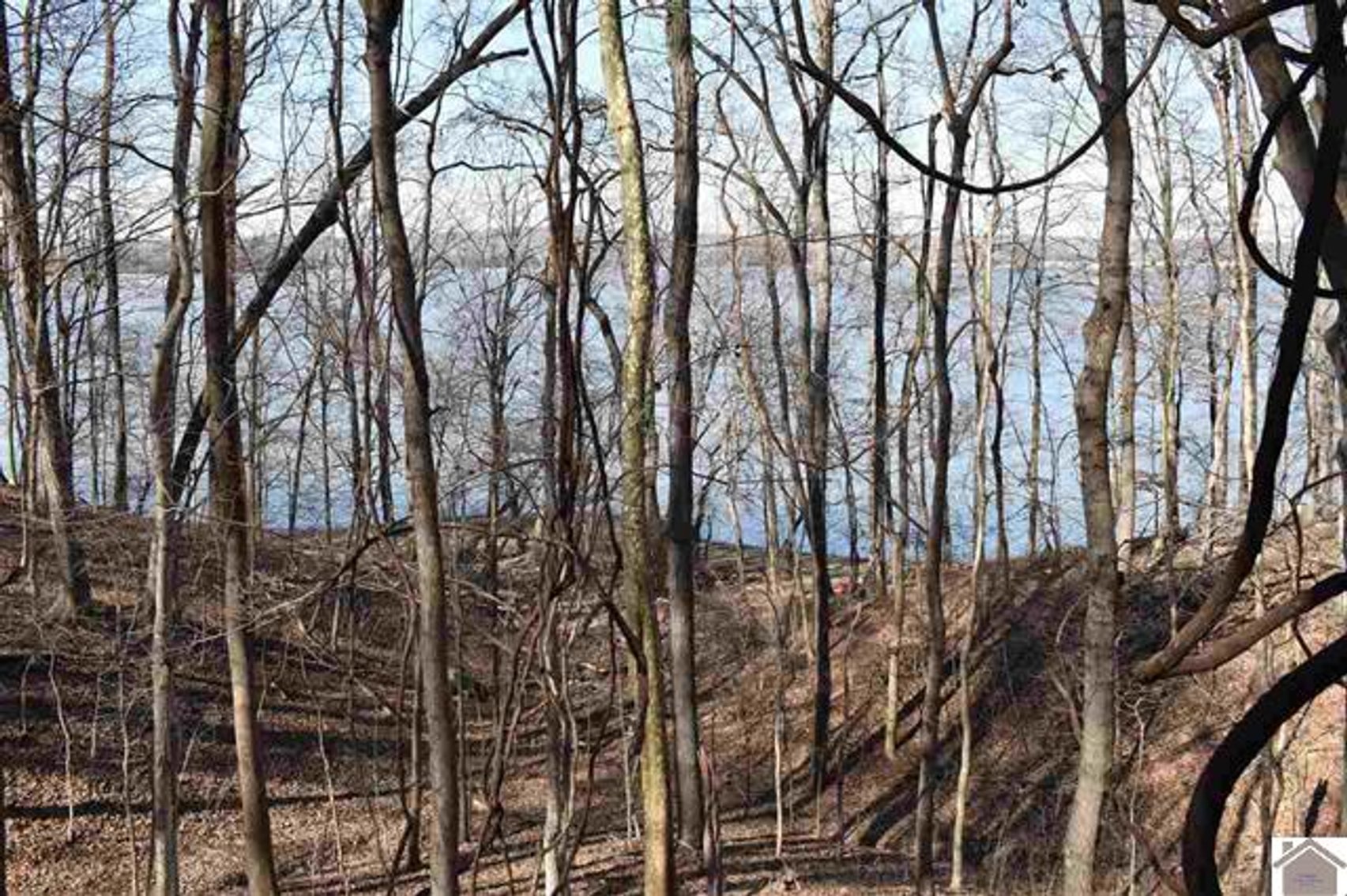 Image for Lot 53 Eleanor Way Cadiz, KY 42211