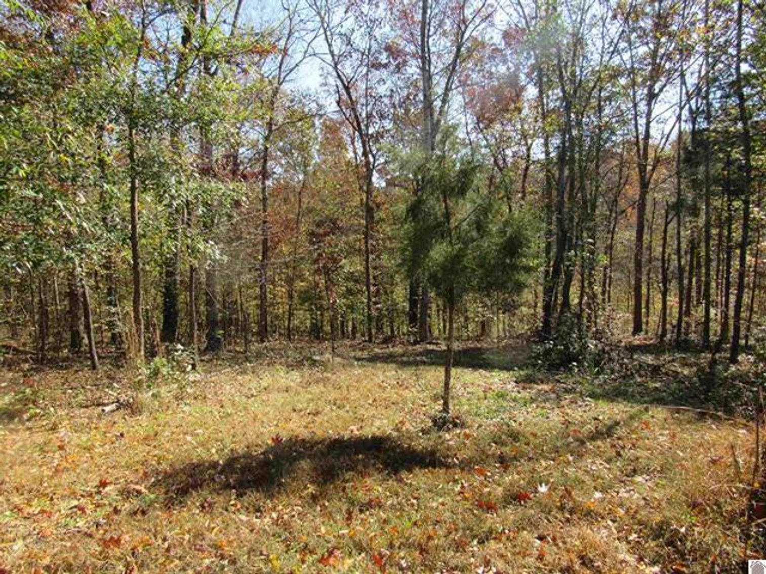 Image for 80 Luttrell Road Cadiz, KY 42211