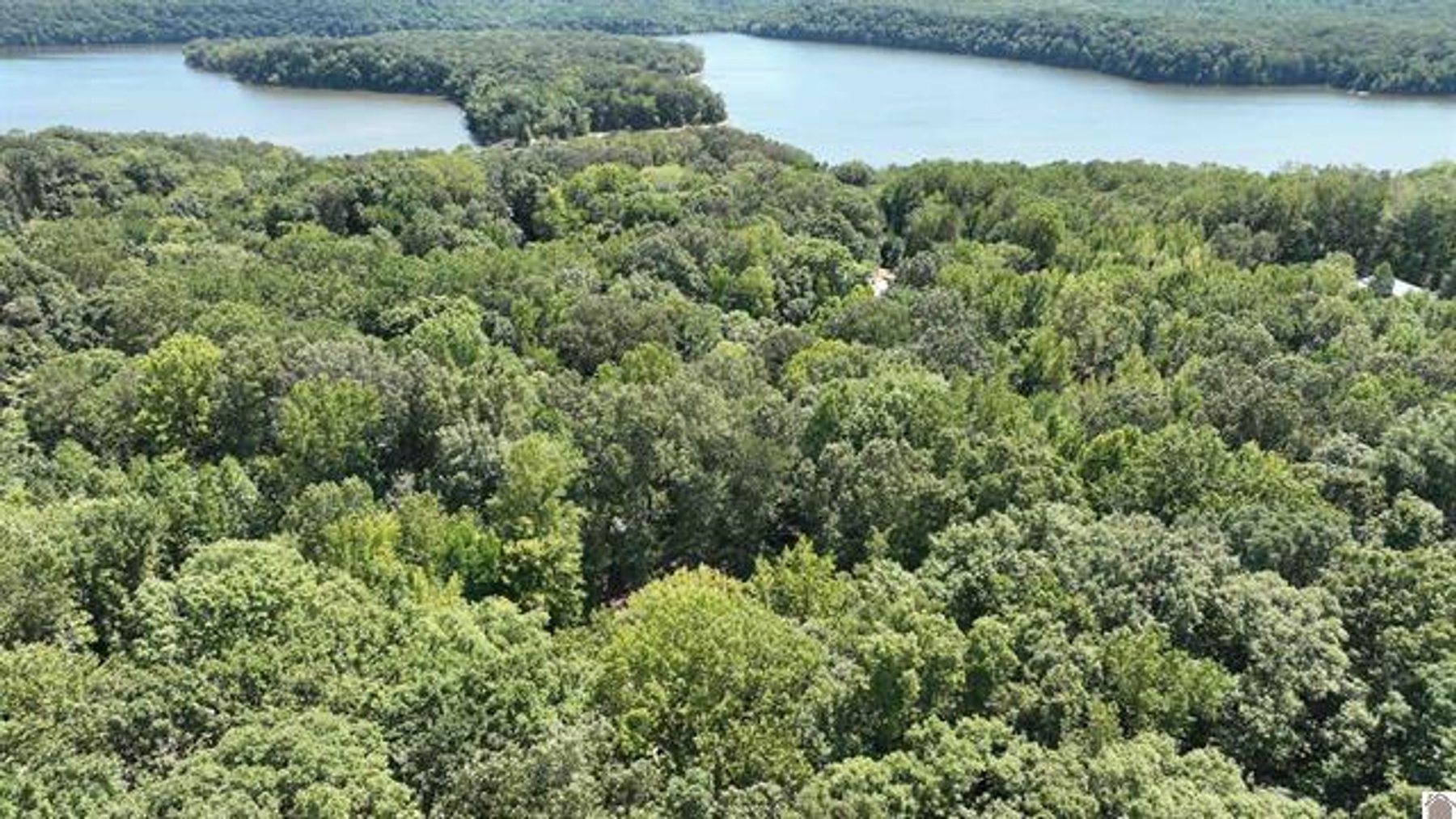 Image for 1107 Crisp Rd. Cadiz, KY 42211