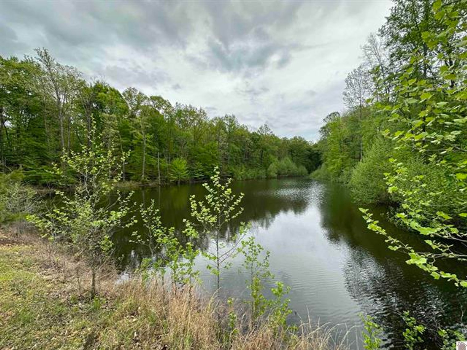 Image for 12984 Linton Road Cadiz, KY 42211