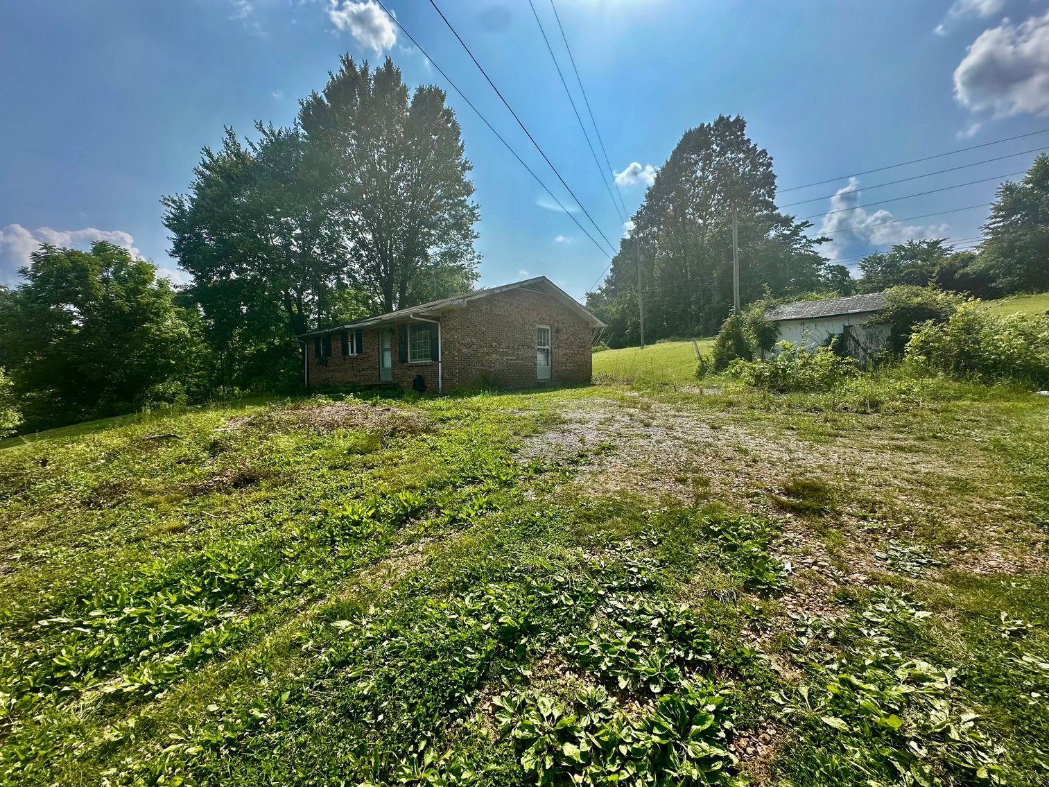 Image for Woodlawn Auction